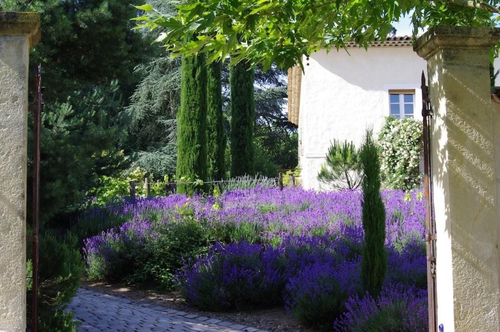 Apartamento On Dirait Le Sud Andrezieux-Boutheon Exterior foto